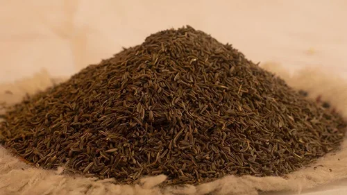 زیره کوهی (وحشی)